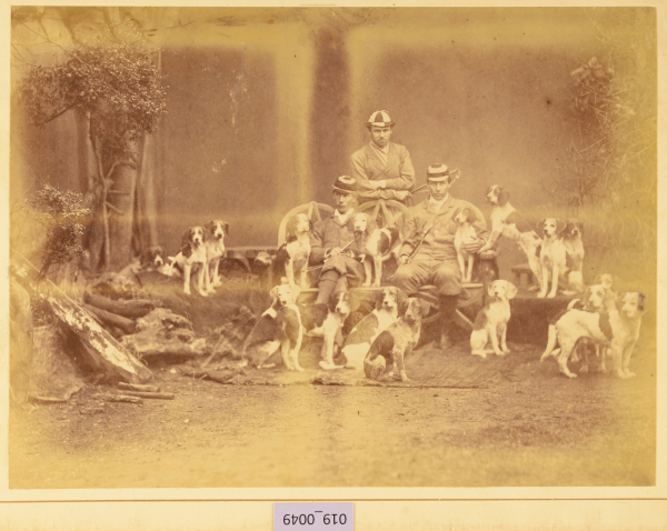 PA-A.19_49-2013 image PA-A.19_49-2013