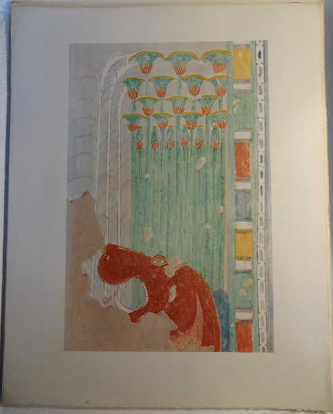 FDA-E.3055_58-2018 image FDA-E.3055_58-2018