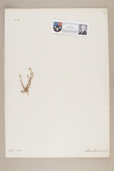 NHM_HH_9.59-2010 image NHM_HH_9.59-2010