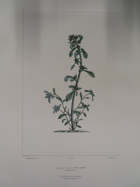 image FDA-E.2916_33_13-2016