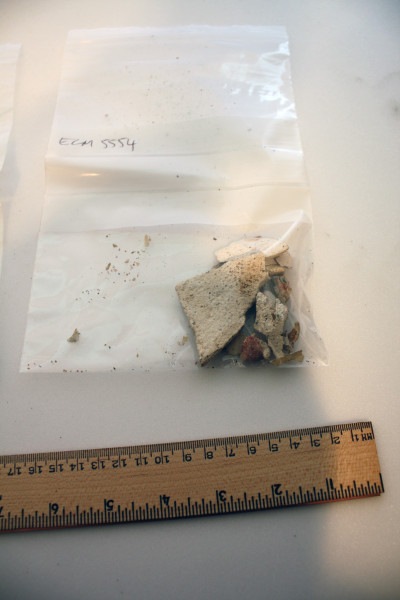 ECM.5554-2017-D image ECM.5554-2017-D