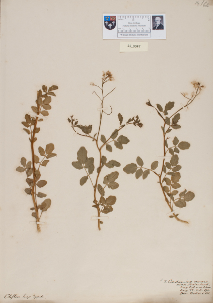 NHM_HH_11.47-2010 image NHM_HH_11.47-2010