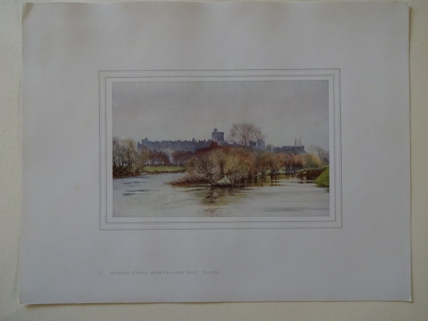 FDA-E.2833_7-2016 image FDA-E.2833_7-2016