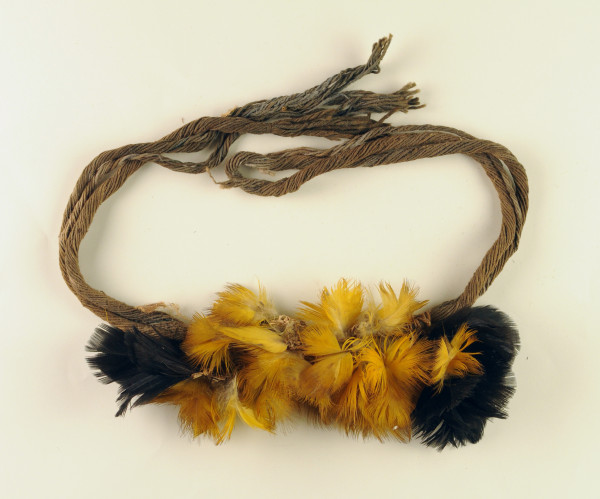 NHM-HT.167-2014 image NHM-HT.167-2014