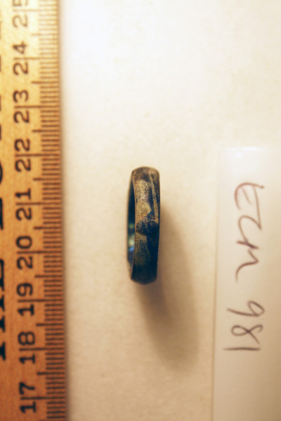 ECM.981-2010-A image ECM.981-2010-A