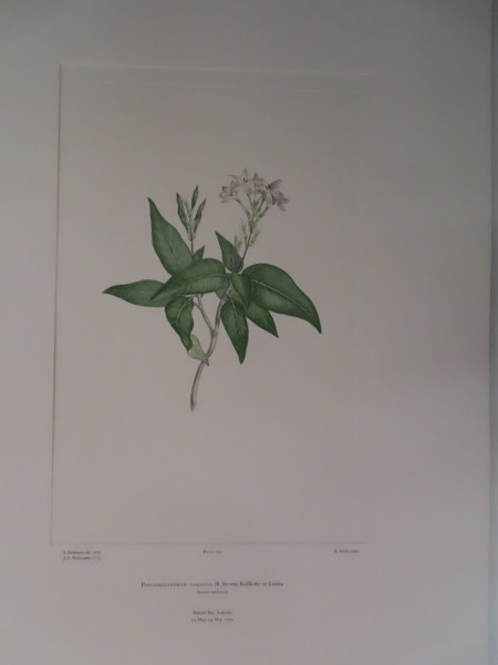 image FDA-E.2916_12_6-2016-A