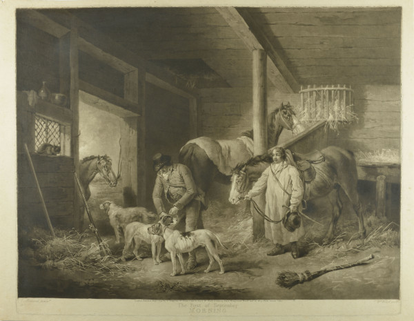 FDA-E.373-2010 image FDA-E.373-2010