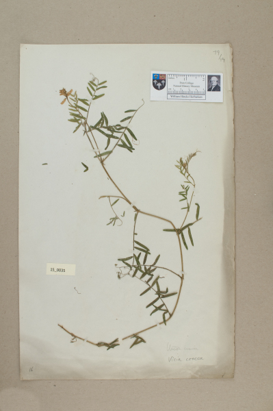 NHM_HH_15.35-2010 image NHM_HH_15.35-2010