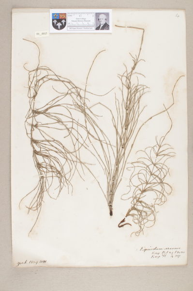 NHM_HH_3.17-2010 image NHM_HH_3.17-2010