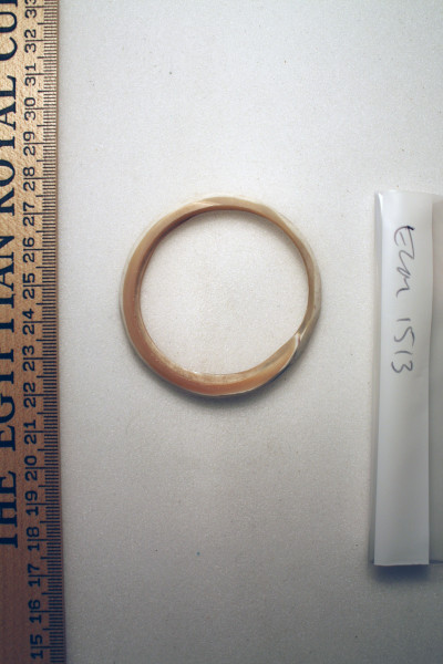 ECM.1513-2010-A image ECM.1513-2010-A