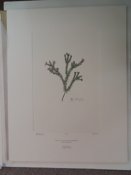 image FDA-E.2916_2_14-2016