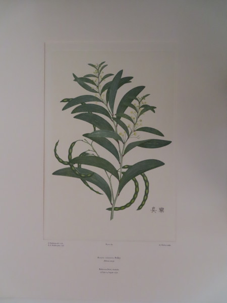 FDA-E.2916_4_25-2016-A image FDA-E.2916_4_25-2016-A