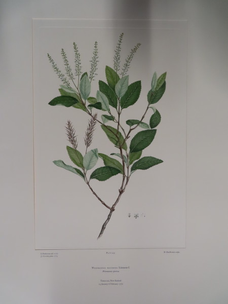 image FDA-E.2916_21_15-2016-A