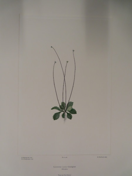 image FDA-E.2916_23_16-2016-A