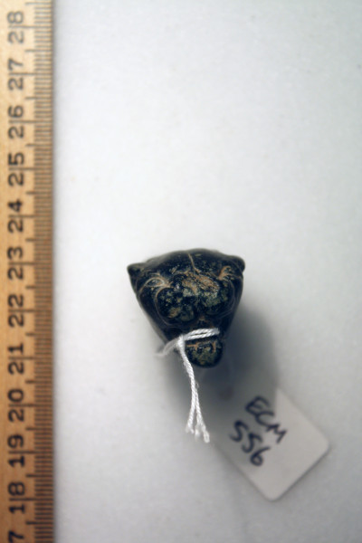 ECM.556-2010-A image ECM.556-2010-A