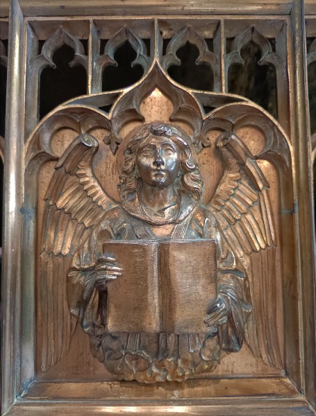 FDA-A.98-2010-B image FDA-A.98-2010-B