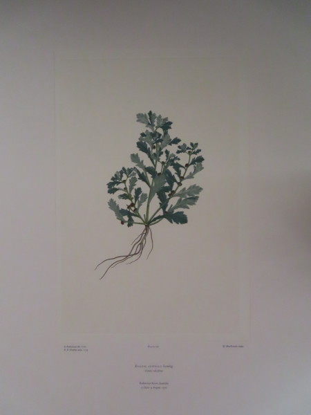 image FDA-E.2916_8_8-2016