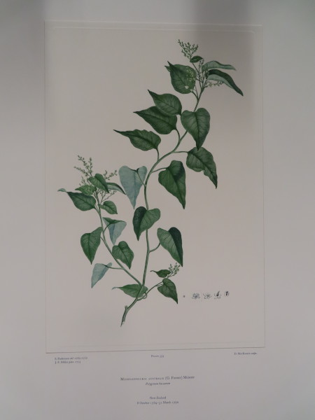 image FDA-E.2916_25_21-2016