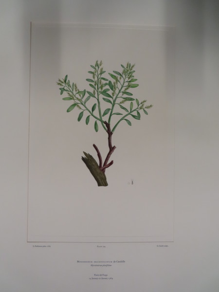 image FDA-E.2916_34_11-2016-A