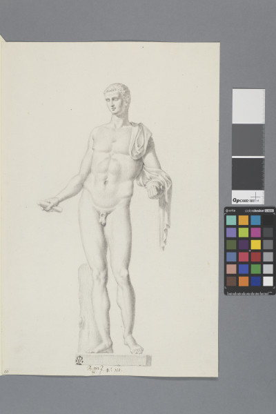 ECL-Bm.8_110-2013 image ECL-Bm.8_110-2013