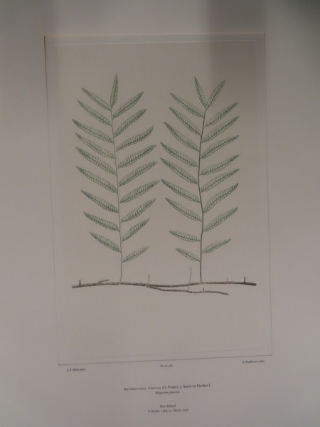 image FDA-E.2916_27_23-2016-A