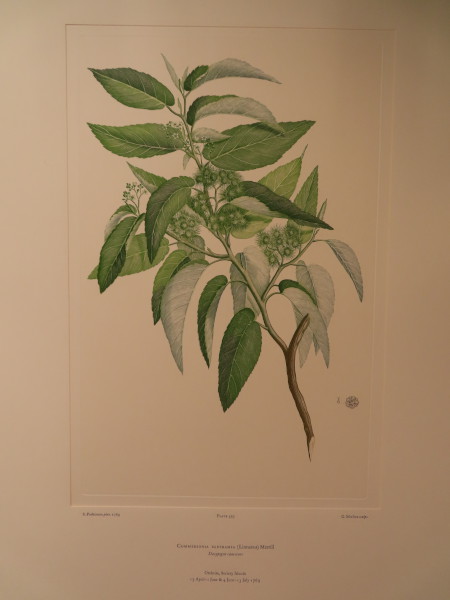 image FDA-E.2916_28_12-2016-A