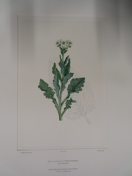 FDA-E.2916_33_18-2016 image FDA-E.2916_33_18-2016