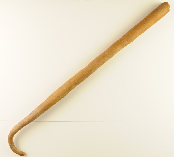 NHM-HT.23-2014 image NHM-HT.23-2014