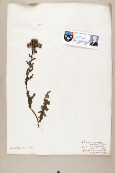 NHM_HH_27.20-2010 image NHM_HH_27.20-2010