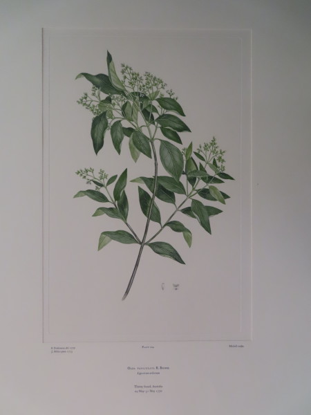 image FDA-E.2916_10_5-2016