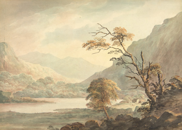 image FDA-D.317-2010