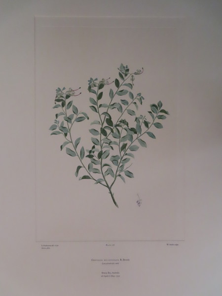 image FDA-E.2916_13_11-2016