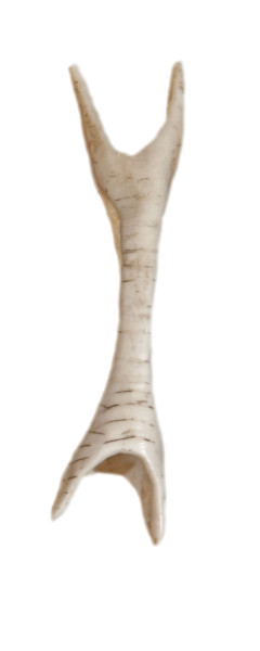 NHM-HT.1-2014 image NHM-HT.1-2014