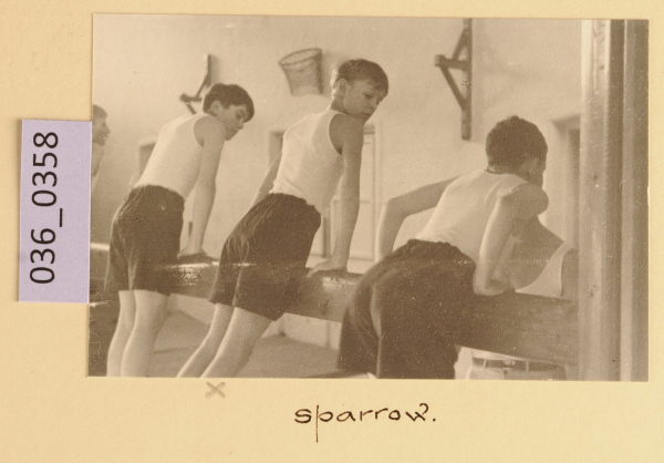 PA-A.36_358-2012 image PA-A.36_358-2012