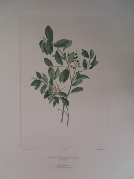 image FDA-E.2916_16_19-2016-A