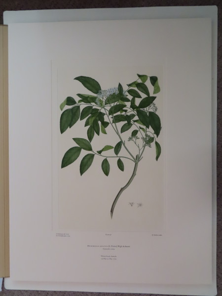 image FDA-E.2916_2_19-2016