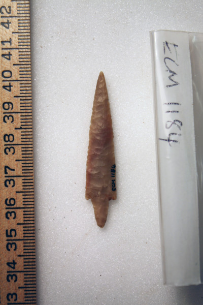 ECM.1184-2010-B image ECM.1184-2010-B