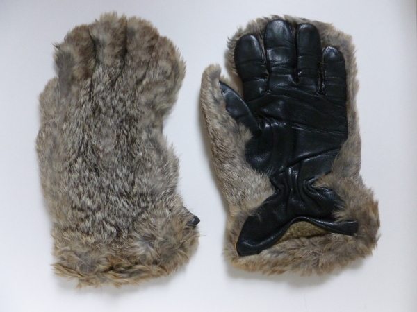 MEL.238-2010 image MEL.238-2010