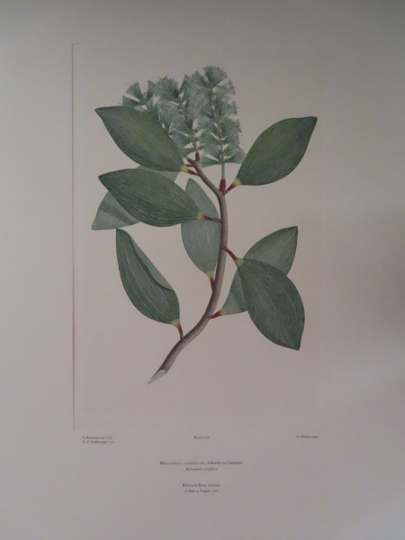 FDA-E.2916_6_9-2016 image FDA-E.2916_6_9-2016