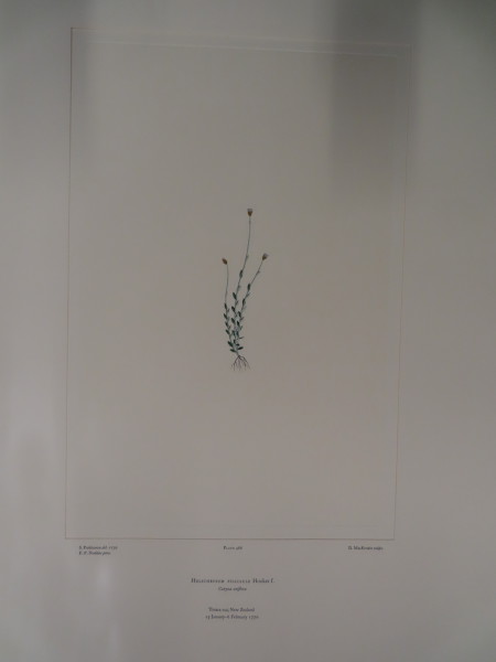 image FDA-E.2916_23_20-2016