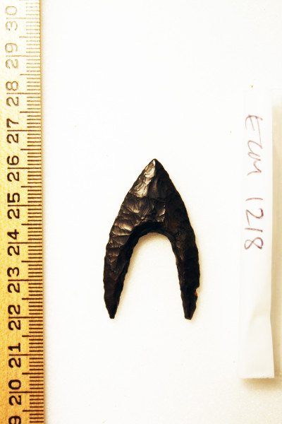 ECM.1218-2010-A image ECM.1218-2010-A