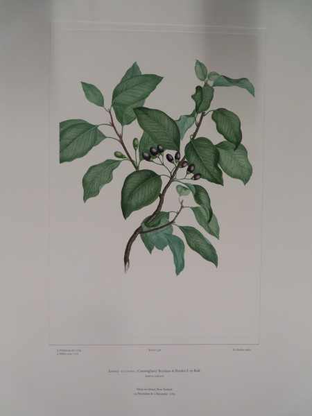 FDA-E.2916_25_26-2016 image FDA-E.2916_25_26-2016