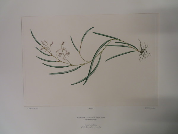 FDA-E.2916_31_20-2016-A image FDA-E.2916_31_20-2016-A