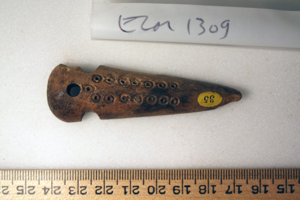 ECM.1309-2010-A image ECM.1309-2010-A