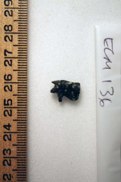 ECM.136-2010-B image ECM.136-2010-B