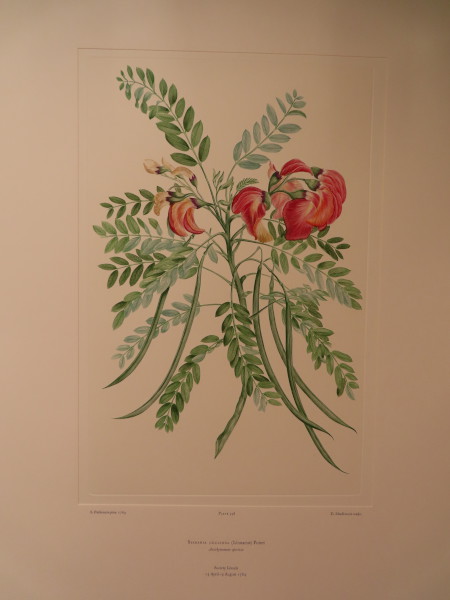 image FDA-E.2916_28_17-2016-A