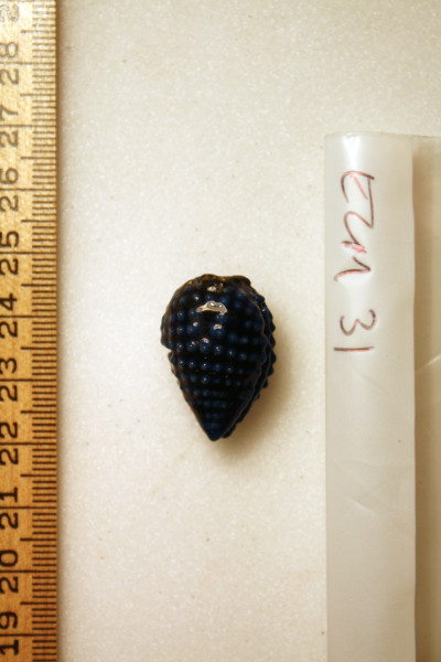 ECM.31-2010-A image ECM.31-2010-A