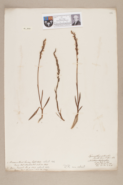 NHM_HH_40.18-2010 image NHM_HH_40.18-2010