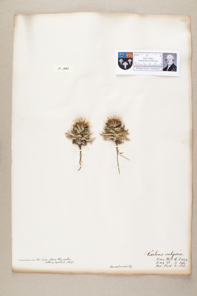 NHM_HH_27.3-2010 image NHM_HH_27.3-2010