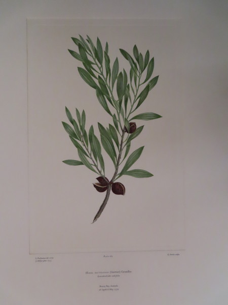 FDA-E.2916_13_16-2016 image FDA-E.2916_13_16-2016